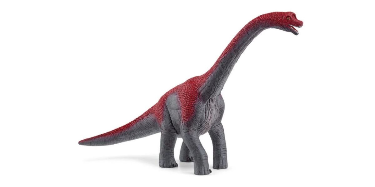 Branchiosaurus