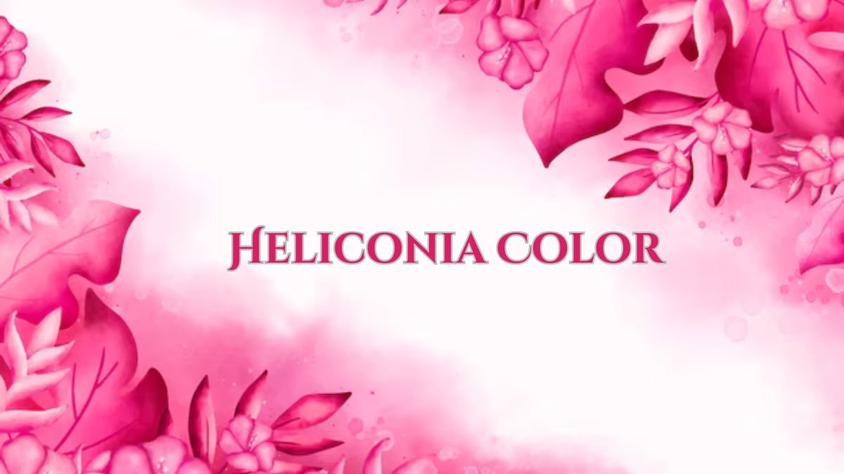 Heliconia Color